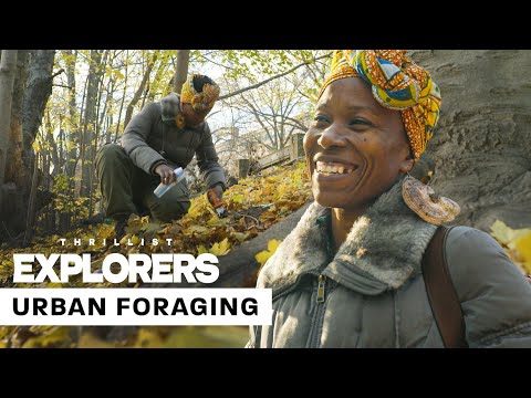 How to Forage for Edible Plants in New York City | Thrillist Explorers