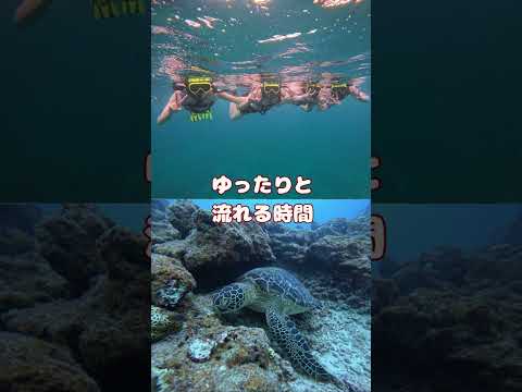 現代文化学科 Vol.14「石垣島チーム⭐️展示のみどころ」【福岡女学院大学 現代文化学科 池田ゼミ】