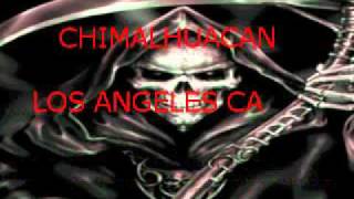 NOCHE Y DIA (gatos locos)