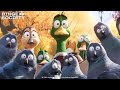Migration 2023 Meeting Chump The Pigeon