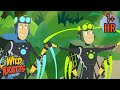 Secrets Of The Spider S Web ️ ️ FULL EPISODES Wild Kratts 9 Story Kids