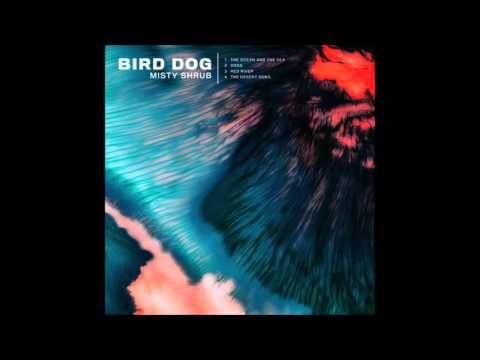 Bird Dog - The Ocean and the Sea