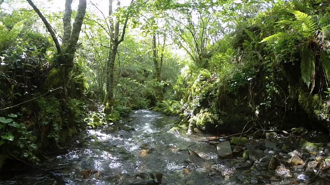 Vuelo sobre el Valle de Bubín