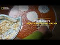 Hyderabad’s Mouth-watering Halwa | It Happens Only in India | National Geographic
