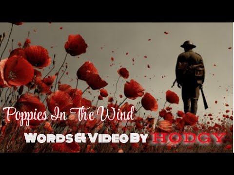 Poppies In The Wind – Armistice Day Tribute | Lest We Forget (HODGY)