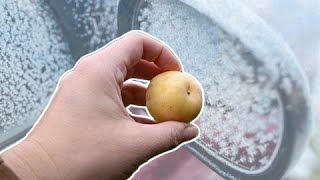 Prevent icy windows on your car with just a potato
