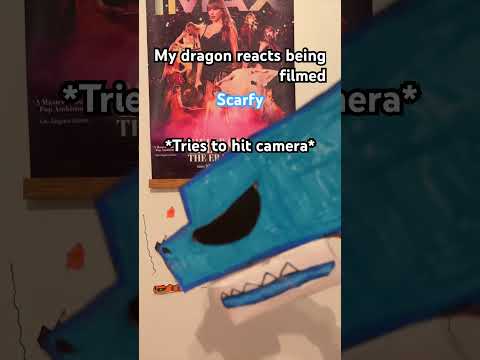 Scarfys reaction of being filmed #paperdragon #dragonpuppets #puppet #dragon