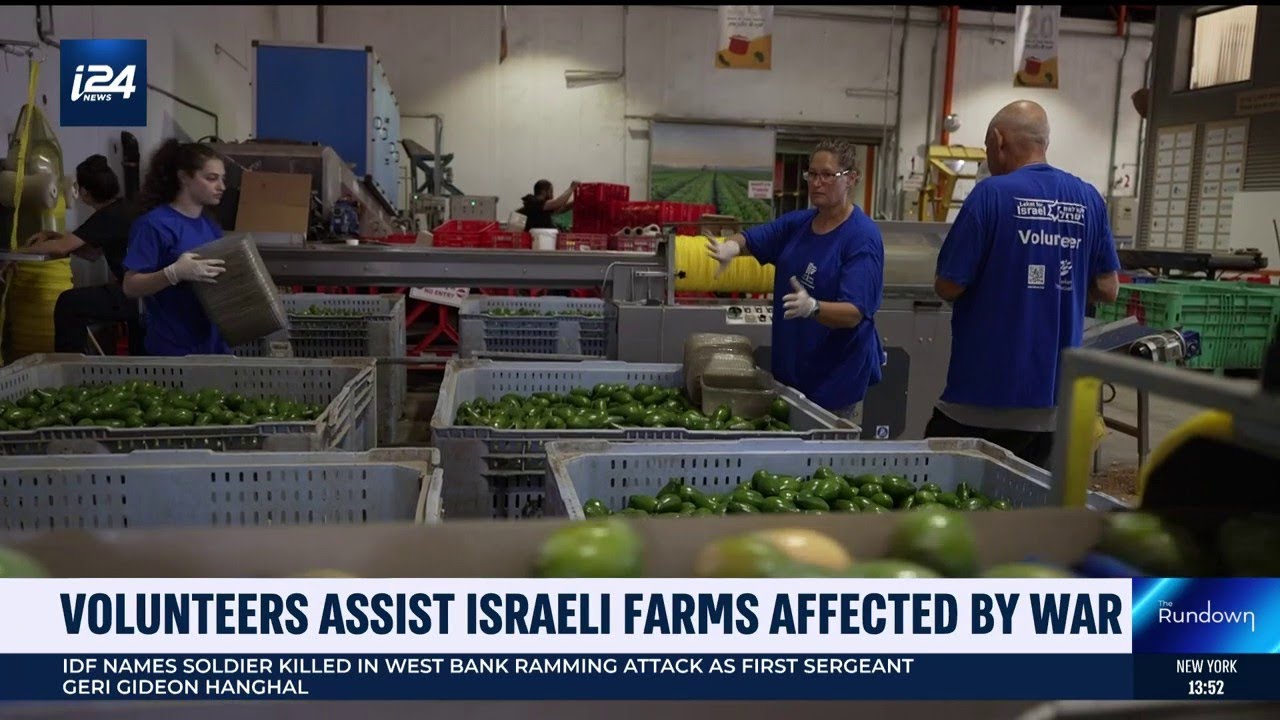 Volunteers help Israeli farms affected by multi-front war