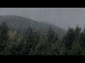 Rainy Day In Forest 10hrs Peaceful RAIN Sounds For Relaxation And Sleep Rain Showers In Forest