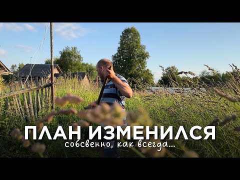 Такие дела: сажаем деревья, косим траву, новые покупошки для дома и плюшеперапия
