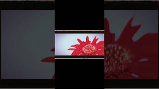 【#盗作ライブ】【#ヨルシカ】【#盗作再演】ヨルシカ LIVE TOUR 2021「盗作」セトリメドレー Guitar＆Basscover by フクレモ.    #盗作live  #キタニタツヤ