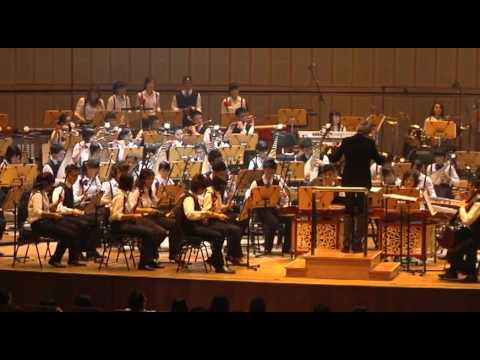 Beautiful - Nanyang Polytechnic Chinese Orchestra