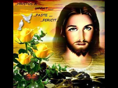 Eu nu ma tem Biji din barbulesti 2015