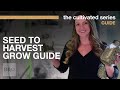 Seed To Harvest A Complete Indoor Cannabis Grow Guide 2021