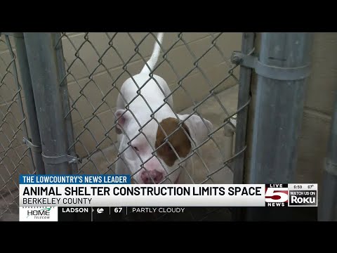 Berkeley County Spca