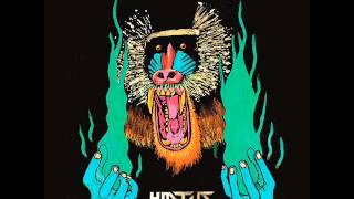 Hiatus Kaiyote - The Lung