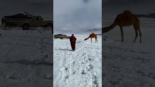 Download lagu Jabal al lawz, tabuk, Saudi Arabia, snow fall. mp3