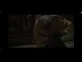 Top Scence Inspector Avinash