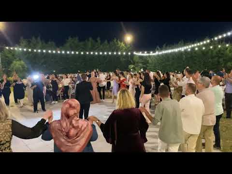 Berkay Gülseven Canlı Performans- Arnavut Düğünleri ( Avcılar)