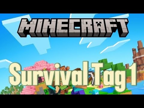 NEUE Minecraft survival welt 