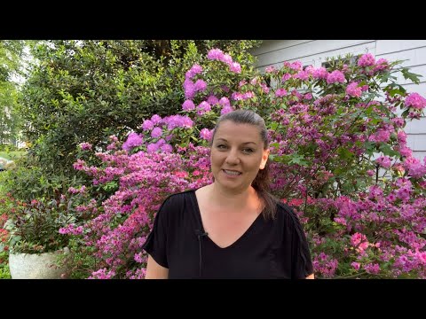 🌸 What's Blooming Now - May 2023 🌸