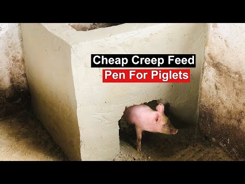 , title : 'Constructing A Cheap Creep Feed Pen For Piglets'