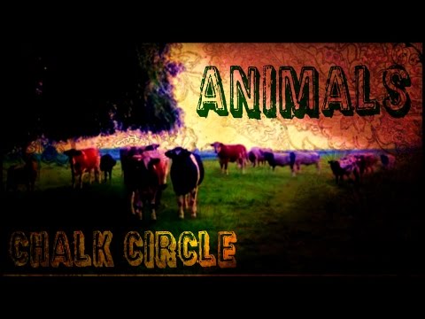 Animals - Chalk Circle