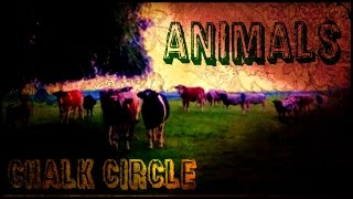 Animals - Chalk Circle