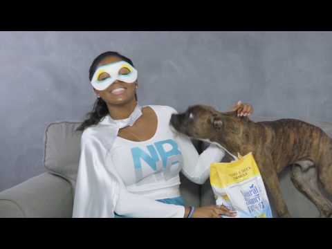 Natural Balance Limited Ingredient Diet Dog Food | Chewy