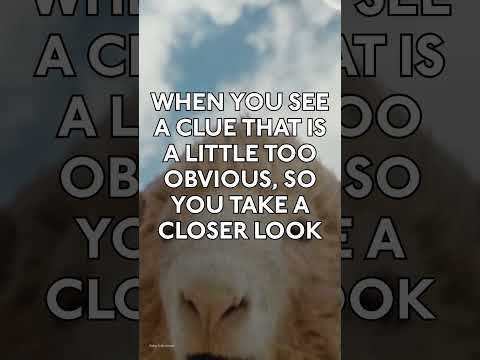 Shear Interruption