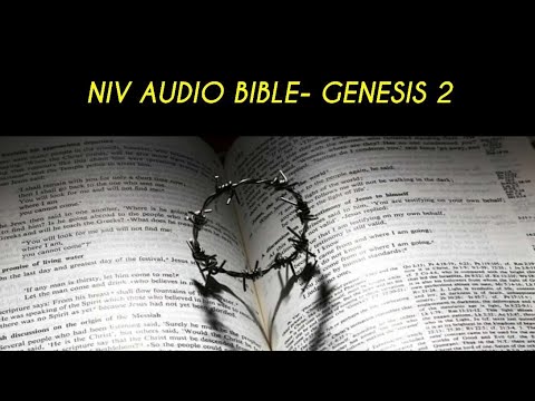 GENESIS 2 NIV AUDIO BIBLE (with text)