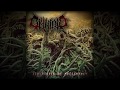 Omnioid Scupltures Of Malignancy 2013 Full EP