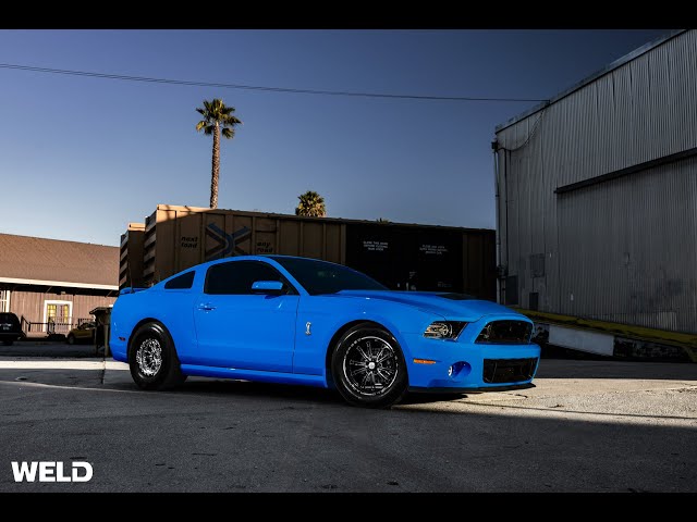 جنوط ويلد v series