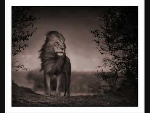 Sizzla - Like Mountains