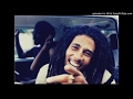 Bob Marley  One Love - Demo