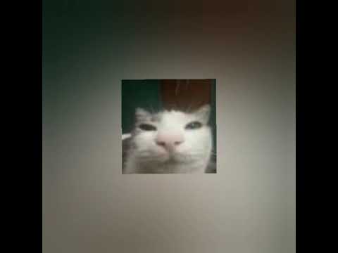 MONTAGEM MELODIA MAGNÍFICA 5.0 👻(Speed up) -(DJ MP7 013)