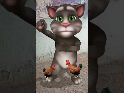 cute dog & tom cat viral dance 😅🥳 #dogdance #funny #catvideos #cute #viral