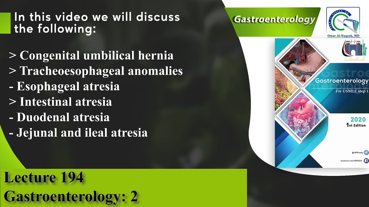 Congenital umbilical hernia | Tracheoesophageal anomalies | Esophageal atresia | Intestinal atresia