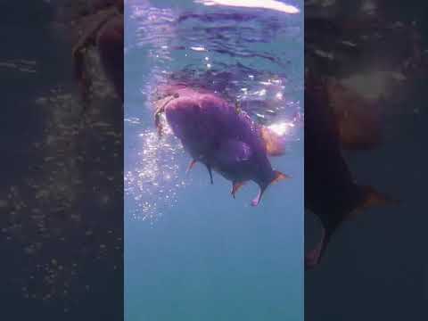 Tough to beat glass on the Great Lakes