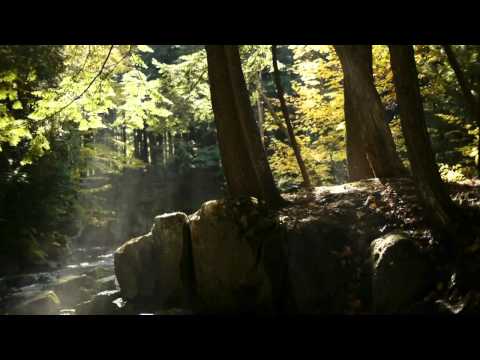 Miniatura de YouTube - Le sacre sinfonie del tempo