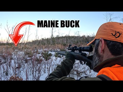 Maine Deer Hunting in Big Woods: Tracking 200 S7E4 Buck Crazy Close Encounter