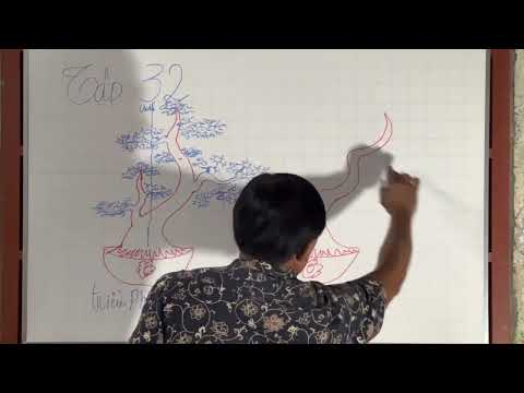 Kiểng Cảnh - 032 Thế Tiều Phu quãi Tử . nguồn Kênh Thiên Gia Việt Nam