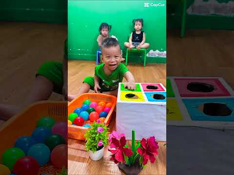 Bé 2 tuổi phân biệt bóng theo màu