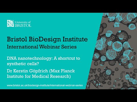 BBI International Webinar Series - Dr Kerstin Göpfrich (Max Planck Institute for Medical Research)