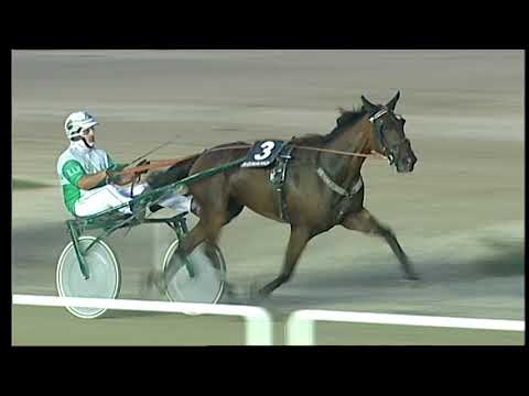 Napoli Trotto 30/07/2021 - 3ª corsa