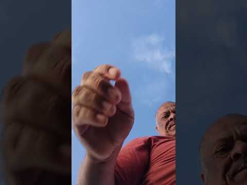 uma cobra cascavel no açude Epitácio pessoa Boqueirão PB 🐍