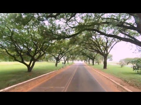 SAINDO DA USINA EM MARACAI INTERIOR DE SP 