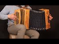 Eine Herde weißer Schafe - Steirische Harmonika