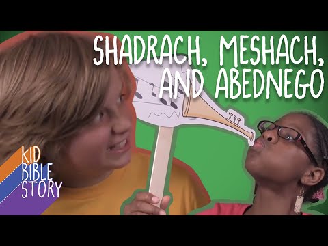 Witness21 Editor  2014 11 18