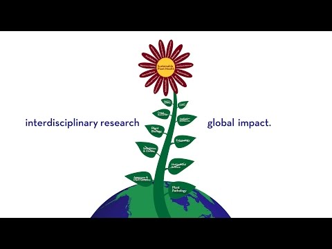 Sustainable Solutions to the Challenges that Face Global Food Production and Ecosystem Health